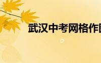 武汉中考网格作图（武汉中考网）