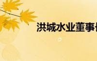 洪城水业董事长（洪城水业）