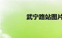 武宁路站图片（武宁路站）