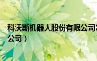 科沃斯机器人股份有限公司怎么样（科沃斯机器人股份有限公司）