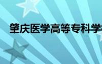 肇庆医学高等专科学校教务系统登录 官网