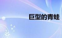 巨型的青蛙（巨蛙 动物）