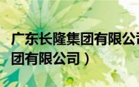 广东长隆集团有限公司上市了吗（广东长隆集团有限公司）