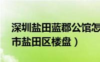 深圳盐田蓝郡公馆怎么样（蓝郡 广东省深圳市盐田区楼盘）