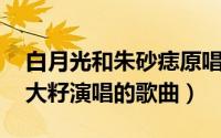 白月光和朱砂痣原唱大籽（白月光与朱砂痣 大籽演唱的歌曲）
