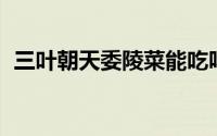 三叶朝天委陵菜能吃吗（三叶委陵菜 中药）
