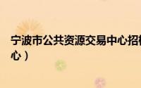 宁波市公共资源交易中心招标公告（宁波市公共资源交易中心）