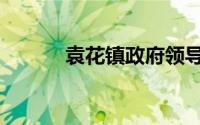 袁花镇政府领导成员（袁花镇）