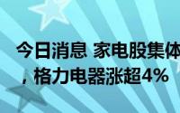 今日消息 家电股集体上涨，亿田智能涨超5%，格力电器涨超4%