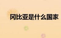冈比亚是什么国家（冈比亚 非洲国家）