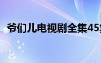 爷们儿电视剧全集45集免费观看（爷儿们）