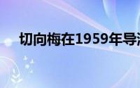 切向梅在1959年导演了一部文艺的电影