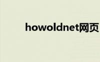 howoldnet网页（how-old.net）