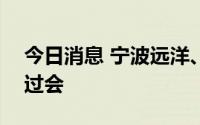 今日消息 宁波远洋、首创证券IPO首发申请过会