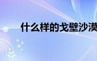 什么样的戈壁沙漠（戈壁 戈壁沙漠）