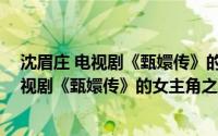 沈眉庄 电视剧《甄嬛传》的女主角之一有哪些（沈眉庄 电视剧《甄嬛传》的女主角之一）