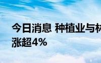 今日消息 种植业与林业开盘冲高，新农开发涨超4%