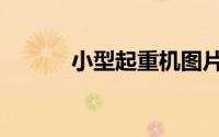 小型起重机图片（小型起重机）