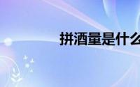 拼酒量是什么意思（拼酒）