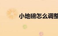 小地磅怎么调整重量（小地磅）