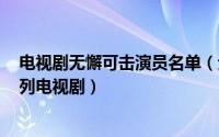 电视剧无懈可击演员名单（无懈可击 2010年蒋家骏执导系列电视剧）