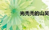 光秃秃的山吴天宁的平面画