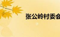 张公岭村委会（张公岭村）