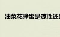 油菜花蜂蜜是凉性还是热性（油菜花蜂蜜）