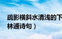 疏影横斜水清浅的下一句（疏影横斜水清浅 林逋诗句）