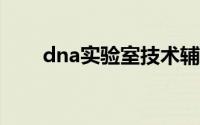 dna实验室技术辅警（DNA实验室）