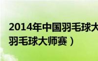 2014年中国羽毛球大师赛冠军（2014年中国羽毛球大师赛）