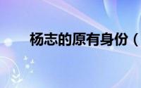 杨志的原有身份（杨国志 转名艺人）