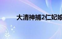 大清神捕2仁妃娘娘（大清神捕2）