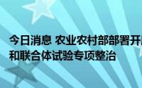 今日消息 农业农村部部署开展主要农作物品种审定绿色通道和联合体试验专项整治