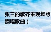 张三的歌齐秦现场版（张三的歌 2010年齐秦翻唱歌曲）