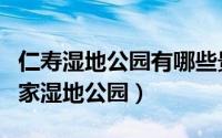 仁寿湿地公园有哪些景点（四川仁寿黑龙滩国家湿地公园）
