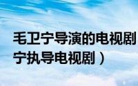 毛卫宁导演的电视剧（上海上海 2010年毛卫宁执导电视剧）