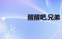 醒醒吧,兄弟（醒醒吧XX）