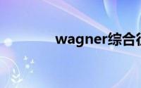 wagner综合征（瓦格纳尔）