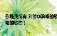 你是我所有 刘德华演唱的歌曲视频（你是我所有 刘德华演唱的歌曲）