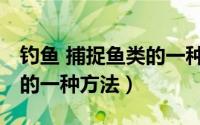 钓鱼 捕捉鱼类的一种方法是（钓鱼 捕捉鱼类的一种方法）