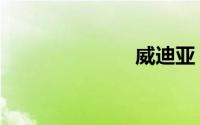 威迪亚（威迪）