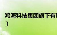 鸿海科技集团旗下有哪些公司（鸿海科技集团）