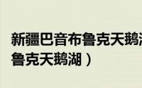 新疆巴音布鲁克天鹅湖景区门票（新疆巴音布鲁克天鹅湖）
