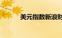 美元指数新浪财经（美元指数）