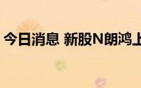 今日消息 新股N朗鸿上市首日破发，跌近5%