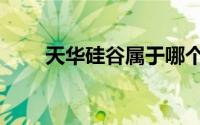 天华硅谷属于哪个街道（天华硅谷）