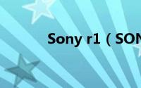 Sony r1（SONY MDR-R10）