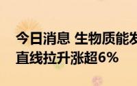 今日消息 生物质能发电异动拉升，天源环保直线拉升涨超6%