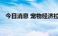 今日消息 宠物经济拉升，普莱柯冲击涨停